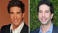 'Friends' Star David Schwimmer's Plastic Surgery - Did He Go Under the ...