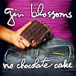 NO CHOCOLATE CAKE/GIN BLOSSOMS/ジン・ブロッサムズ｜HARDROCK & HEAVYMETAL｜ディスクユニオン ...