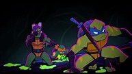 El ascenso de las Tortugas Ninja: La película | cuevana 3