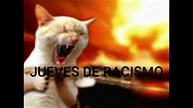 jueves de racismo meme - YouTube