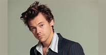 Harry Styles Height, Age, Affair, Bio, Net Worth, Wiki, Facts & More ...