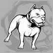 dog breeds the American pit bull hand drawing vector 540617 Vector Art ...