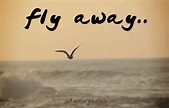 Fly Away....Animated Pictures, Photos, and Images for Facebook, Tumblr ...