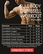 45 Minute Full Body Dumbbell Workout for Beginners | Full body dumbbell ...