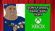 Sony Fanboys' Sweet Salty Tears // Midweek Theatre - YouTube