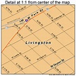 Livingston Montana Street Map 3043975