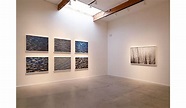 Von Lintel Gallery | Los Angeles ····· Carolyn Marks Blackwood