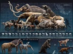 Megafauna Extinction – Tracing Origins