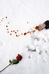 Reseña: El rastro de tu sangre en la nieve - Gabriel García Marquéz