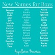 Look Back at 2013: New Names for Boys - Appellation Mountain