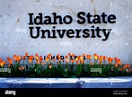 El símbolo de la Universidad Estatal de Idaho con flores en un jardín ...