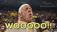 Ric Flair Woo GIFs - Get the best GIF on GIPHY
