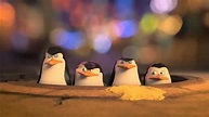 Los Pingüinos de Madagascar - Tráiler en Español - YouTube