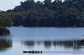 Santuario Megantoni cumple 18 años protegiendo lugares únicos como el ...