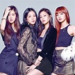 El documental de Blackpink ya tiene fecha de estreno en Netflix ...