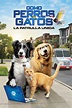 Película Como perros y gatos 3: ¡Patas unidas! (2020) online o descargar