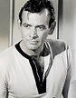 David Janssen | Classic movie stars, Movie stars, Star david