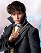 Eddie Redmayne as Newt Scamander, in updated Colleen Atwood costuming ...