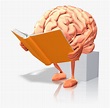 Transparent Thinking Brain Clipart - Brain Reading A Book, HD Png ...