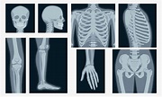 diferentes tomas de rayos X del conjunto de partes del cuerpo humano ...