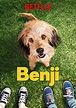 Benji (2018) - Posters — The Movie Database (TMDB)