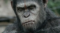 'Planet of the Apes' was the bravest blockbuster of the decade in one ...