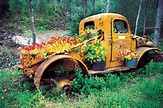 Pictures Of Old Trucks With Flowers - FLOWERS XMJ