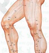 膝陽關穴位置 | 膝陽關穴痛 – 穴道按摩與穴位引導經絡功效圖解-經絡穴位按摩點點讚-養生保健DIY真簡單