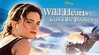 Is Movie 'Wild Hearts Can't Be Broken 1991' streaming on Netflix?