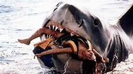 "Der weiße Hai" wird 40: Blockbuster von Steven Spielberg