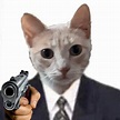 Licenciado gato armado in 2022 | Cats, Anime, Animals