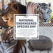 National Endangered Species Day 2019 | Central Florida Animal Reserve ...