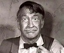 Chill Wills Biography - Facts, Childhood, Family Life & Achievements