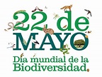 Imágenes y frases para el 22 de Mayo: Día de la Biodiversidad o ...