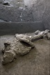 Descubiertos en Pompeya los cuerpos de dos hombres que huían del Vesubio