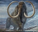 Life-cycle of Alaskan wooly mammoth documented in new analysis of his ...