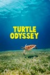Como assistir Turtle Odyssey (2018) em streaming online – The ...