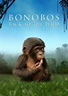 Bonobos - película: Ver online completas en español
