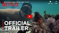 Netflix: Mein Lehrer, der Oktopus // Doku-Empfehlung von Kevin Kelly ...
