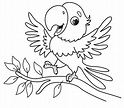 Top 102 + Dibujos de loros para pintar - Ginformate.mx