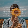 Las Mejores Frases Inspiradoras para Tomar Decisiones con Confianza ...