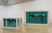 Damien Hirst - Mother and Child Divided (1993) : r/museum