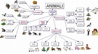 MAPPE SCIENZE – I 5 REGNI : gli animali | Libro di Scuola