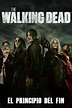 The Walking Dead Temporada 11 Capitulo 16 Online - SeriesFlix