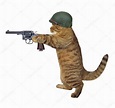 Cat soldier with gun — Stock Photo © Iridi #164041100