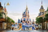 Walt Disney World® Resort Theme Park Tickets