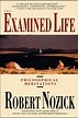 Examined Life: Philosophical Meditations (Paperback) - Walmart.com