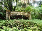 Lyon Arboretum – A Tranquil Eden in Urban Honolulu | Only In Hawaii