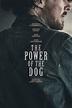 Teaser per Il Potere del Cane (film Netflix): Benedict Cumberbatch è un ...