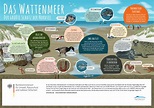 Das Wattenmeer - Der größte Schatz der Nordsee - Referendartipp